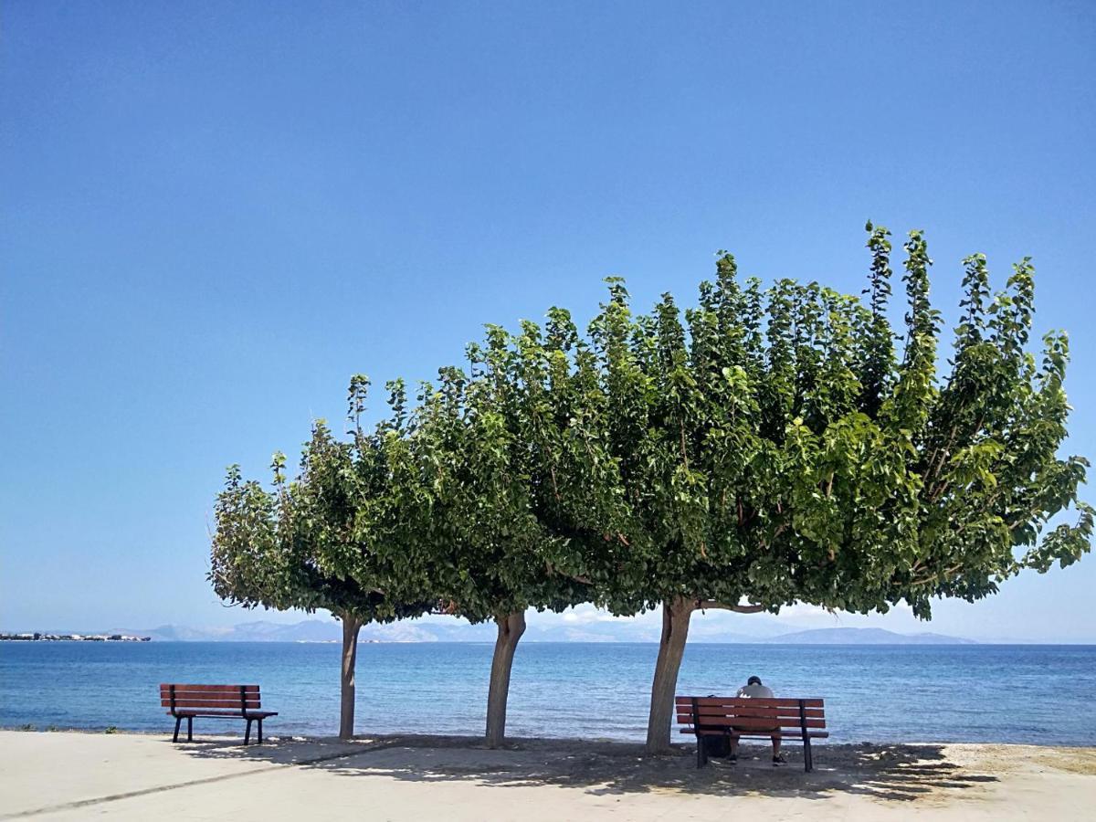 Artemis Apartment,Beach Two-Bedroom מראה חיצוני תמונה